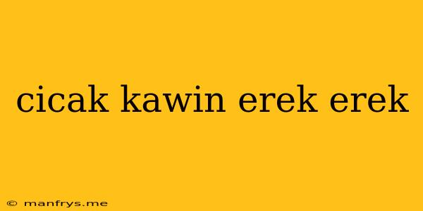 Cicak Kawin Erek Erek