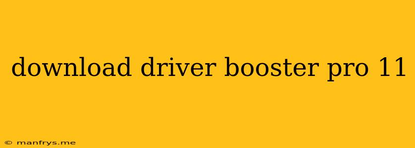 Download Driver Booster Pro 11