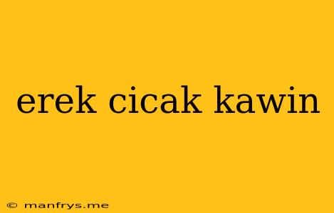 Erek Cicak Kawin