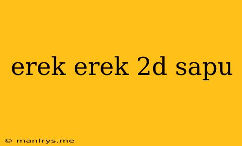 Erek Erek 2d Sapu