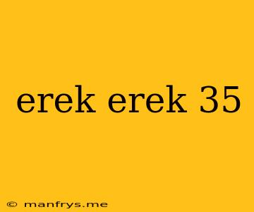 Erek Erek 35