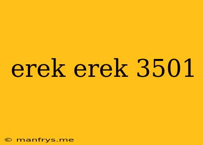 Erek Erek 3501