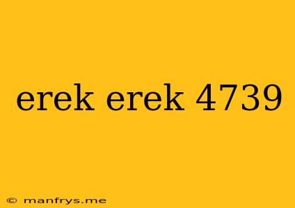 Erek Erek 4739