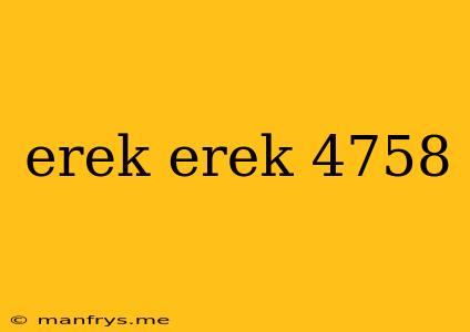 Erek Erek 4758