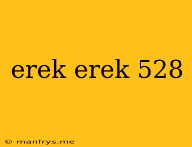 Erek Erek 528