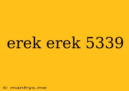 Erek Erek 5339