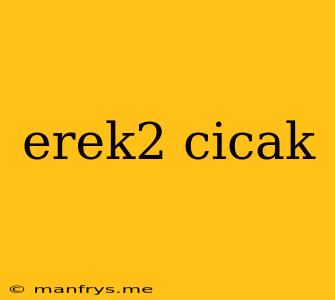 Erek2 Cicak